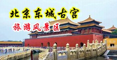 操得她呻吟视频网站中国北京-东城古宫旅游风景区